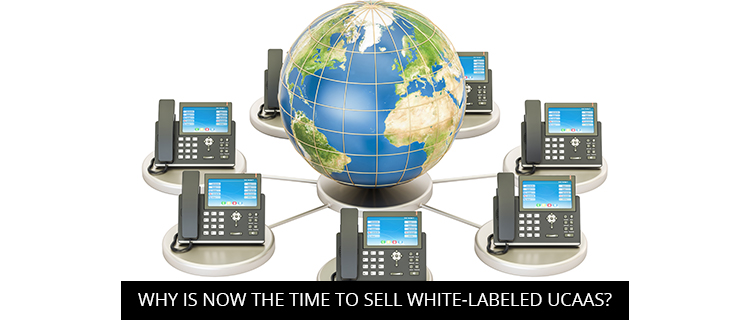 Why Is Now The Time To Sell White-Labeled UCaaS?