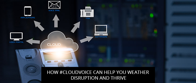 How #Cloudvoice Can Help You Weather Disruption And Thrive